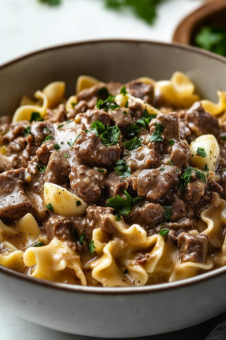 Beef Stroganoff with Egg Noodle