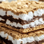 smores bars 2.png